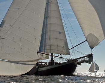 Hoge Wier Vlaggenschip Muiden@ Gouden Vloot Zeilreizen